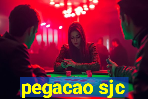 pegacao sjc